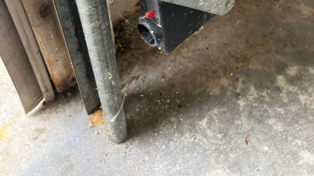 Project View 3