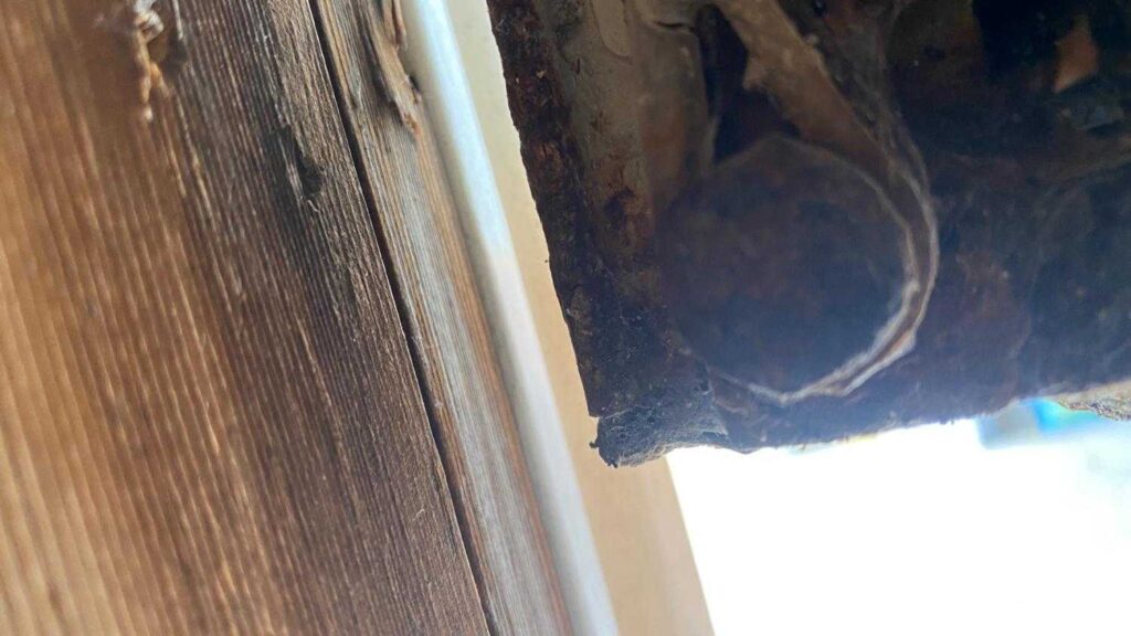 Project View 7